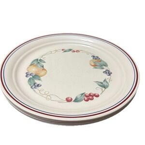 Corelle Abundance Vintage Dinner Plates 10" Vitrelle USA Set of 4 Cottagecore
